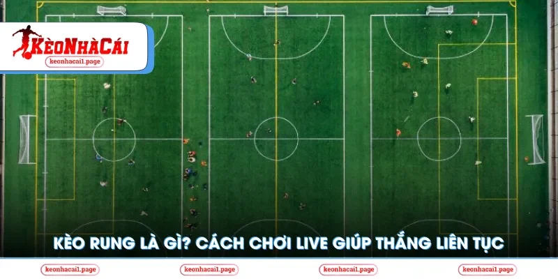 Kèo nhà cái | Kèo Rung Là Gì? Cách Chơi Live Giúp Thắng Liên Tục